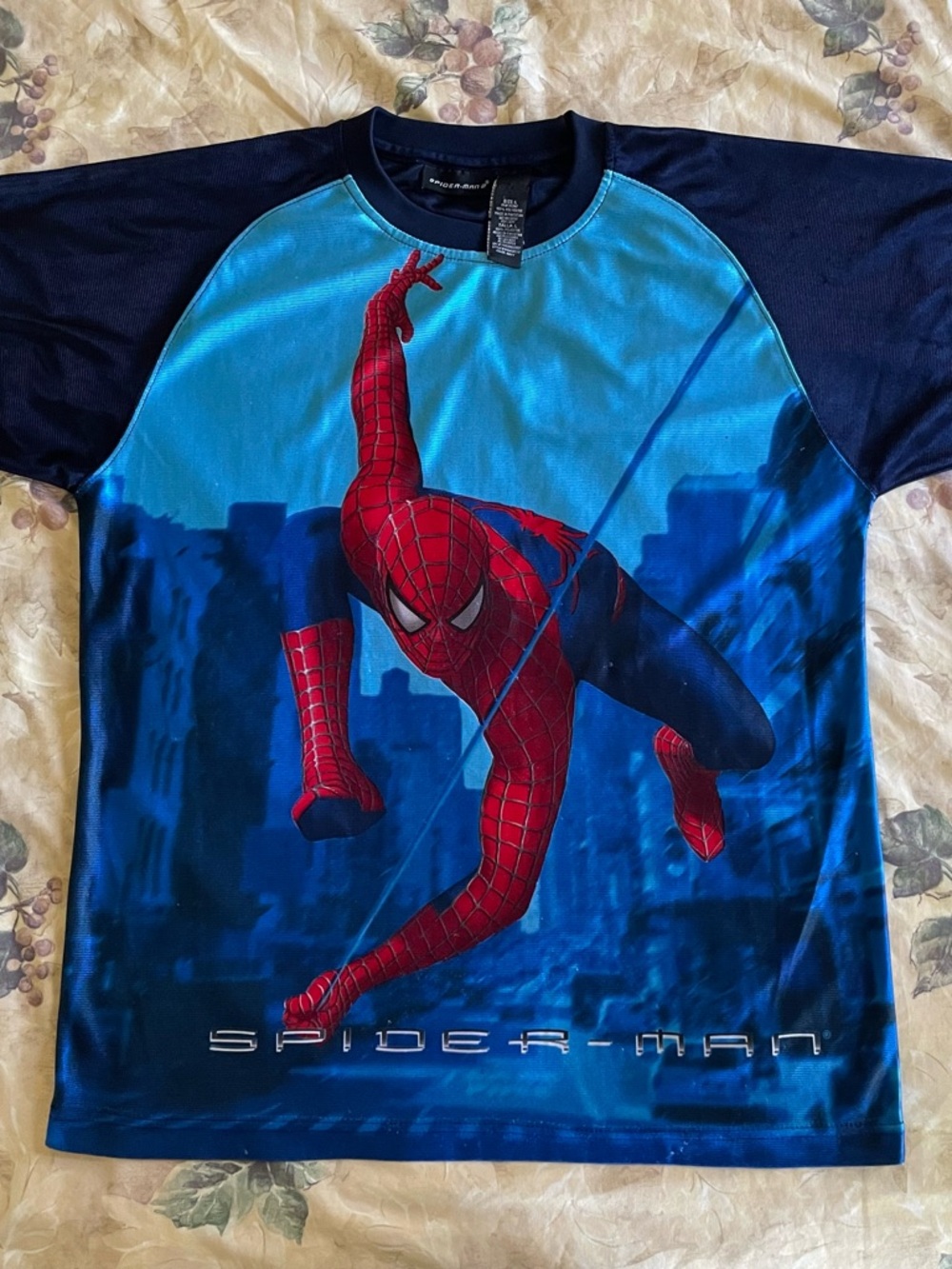 Spider-Man Graphic Jersey in Blue and Red